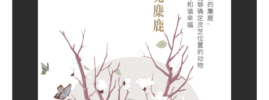 1555234632784908.jpg 4.jpg