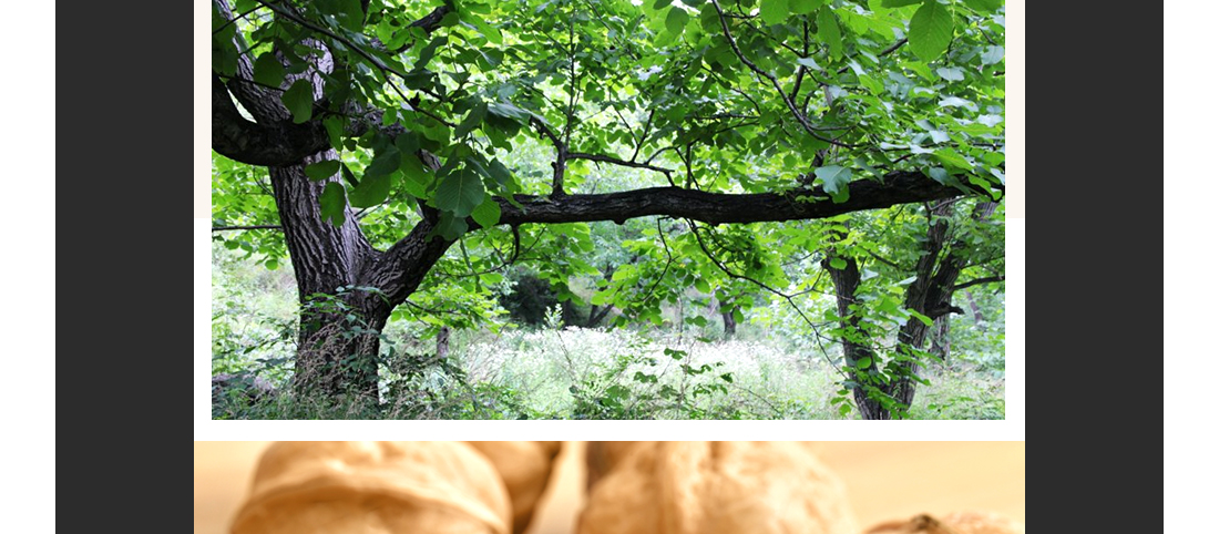 1555237002349298.jpg 13.jpg